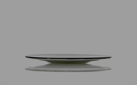 Dish S